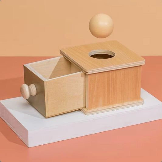 Object Permanence Box – Educatief Speelgoed van Kindveilige Hout – Stimuleert Cognitieve Ontwikkeling 2