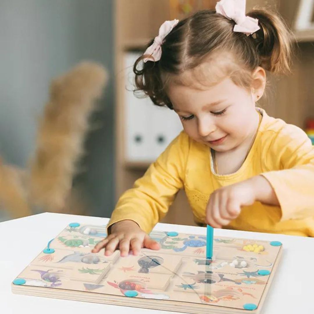 Magnetisch Dinosaurus Labyrint – Educatief Speelgoed, Fijne Motoriek, Kleur- en Teltijd 4