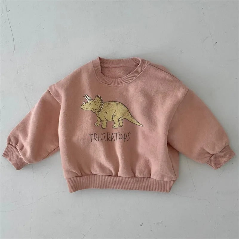 Dino Sweater – Zachte Stof, Schattige Dinosaurus Print – Comfortabel en Duurzaam voor Kinderen 0