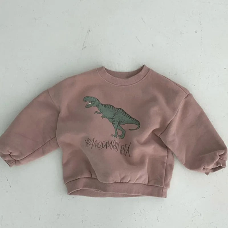 Dino Sweater – Zachte Stof, Schattige Dinosaurus Print – Comfortabel en Duurzaam voor Kinderen 3