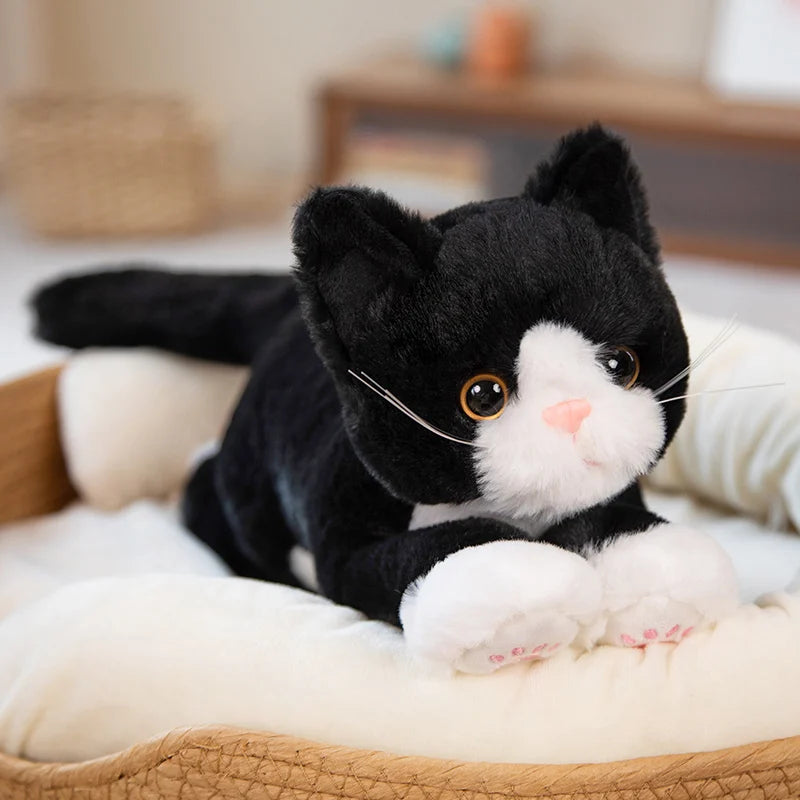 Knuffel Kat – Zacht en Veilig Speelgoed voor Kinderen, Ideaal voor Knuffelen en Spelen 0
