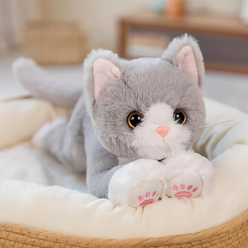 Knuffel Kat – Zacht en Veilig Speelgoed voor Kinderen, Ideaal voor Knuffelen en Spelen 1