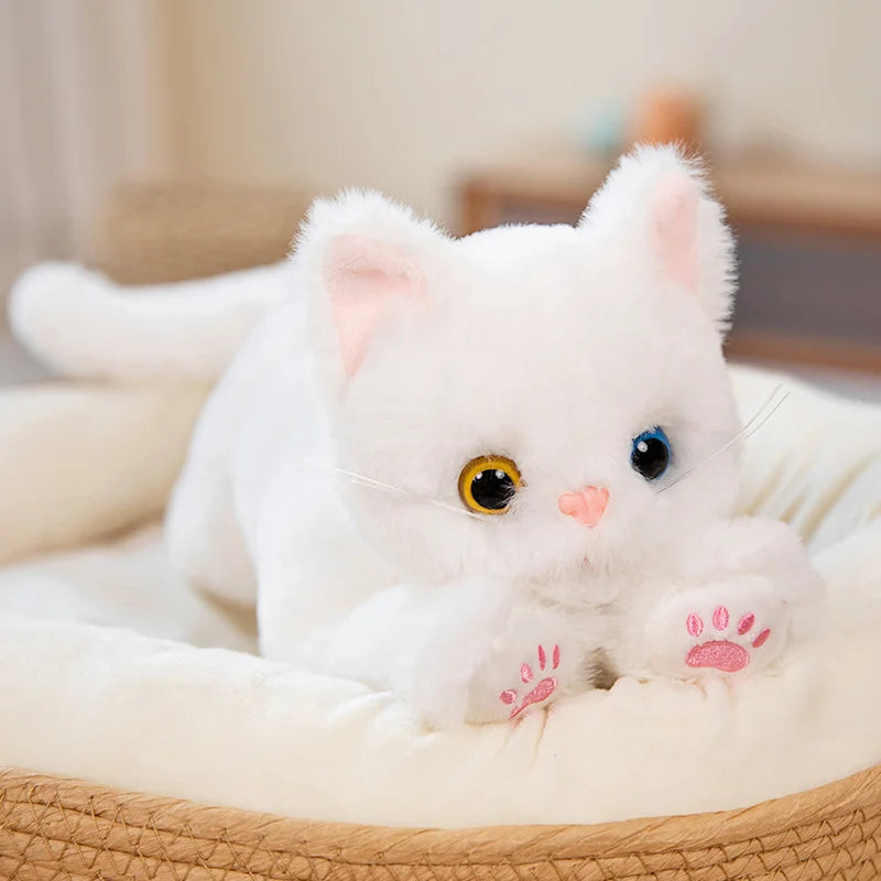 Knuffel Kat – Zacht en Veilig Speelgoed voor Kinderen, Ideaal voor Knuffelen en Spelen 2
