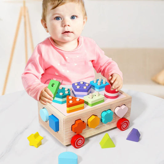 Blokkenwagen – Educatief Met Sorteerfunctie, Duurzaam Hout, 12 Kleurrijke Blokken – Voor Actieve Peuters 2