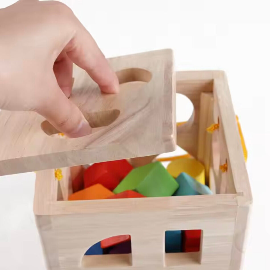 Geometrische Blokken – Educatief Speelgoed van Hout voor Creatieve Ontwikkeling en Motorische Vaardigheden 3